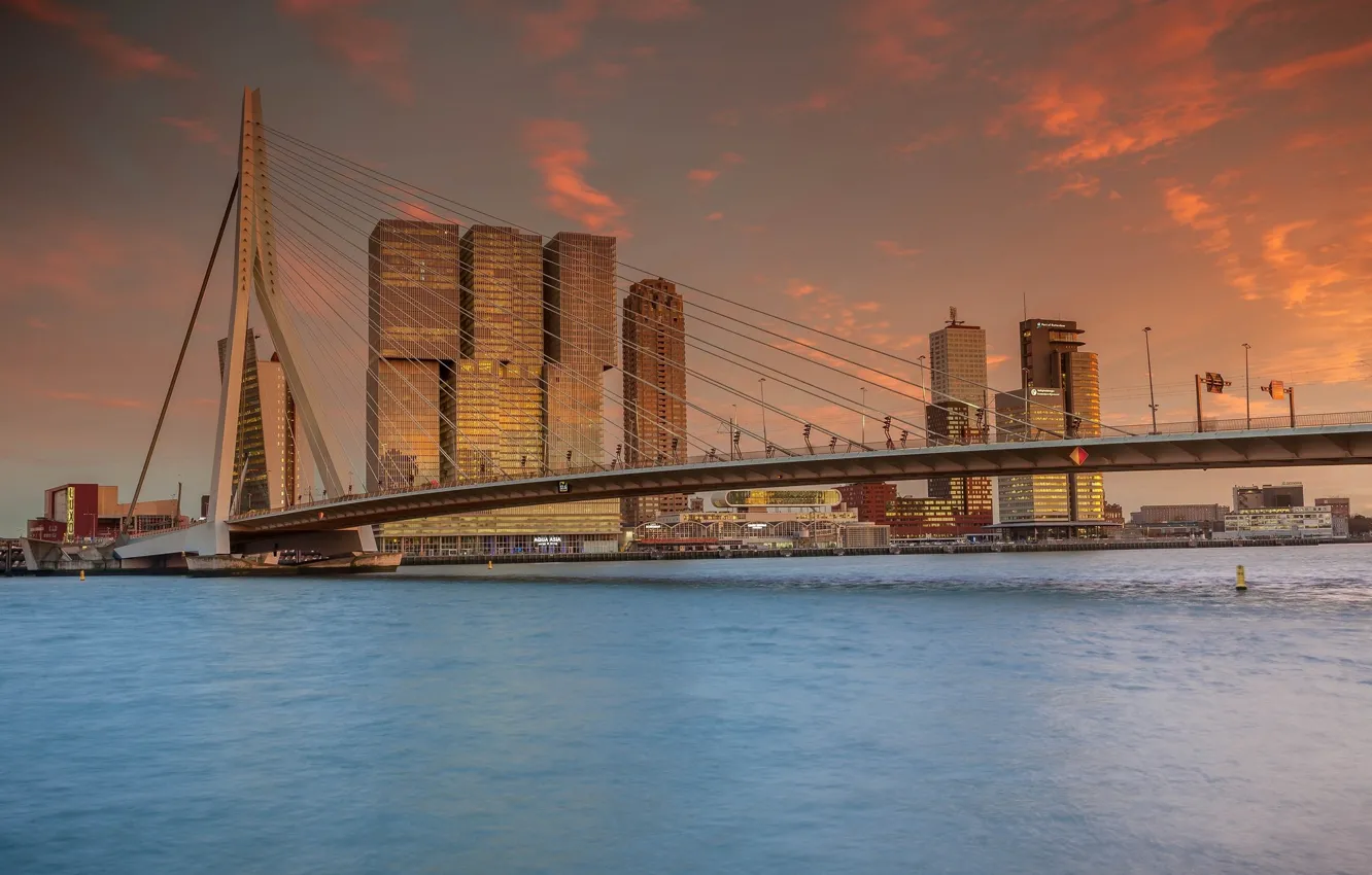 Photo wallpaper bridge, the city, the evening, Rotterdam