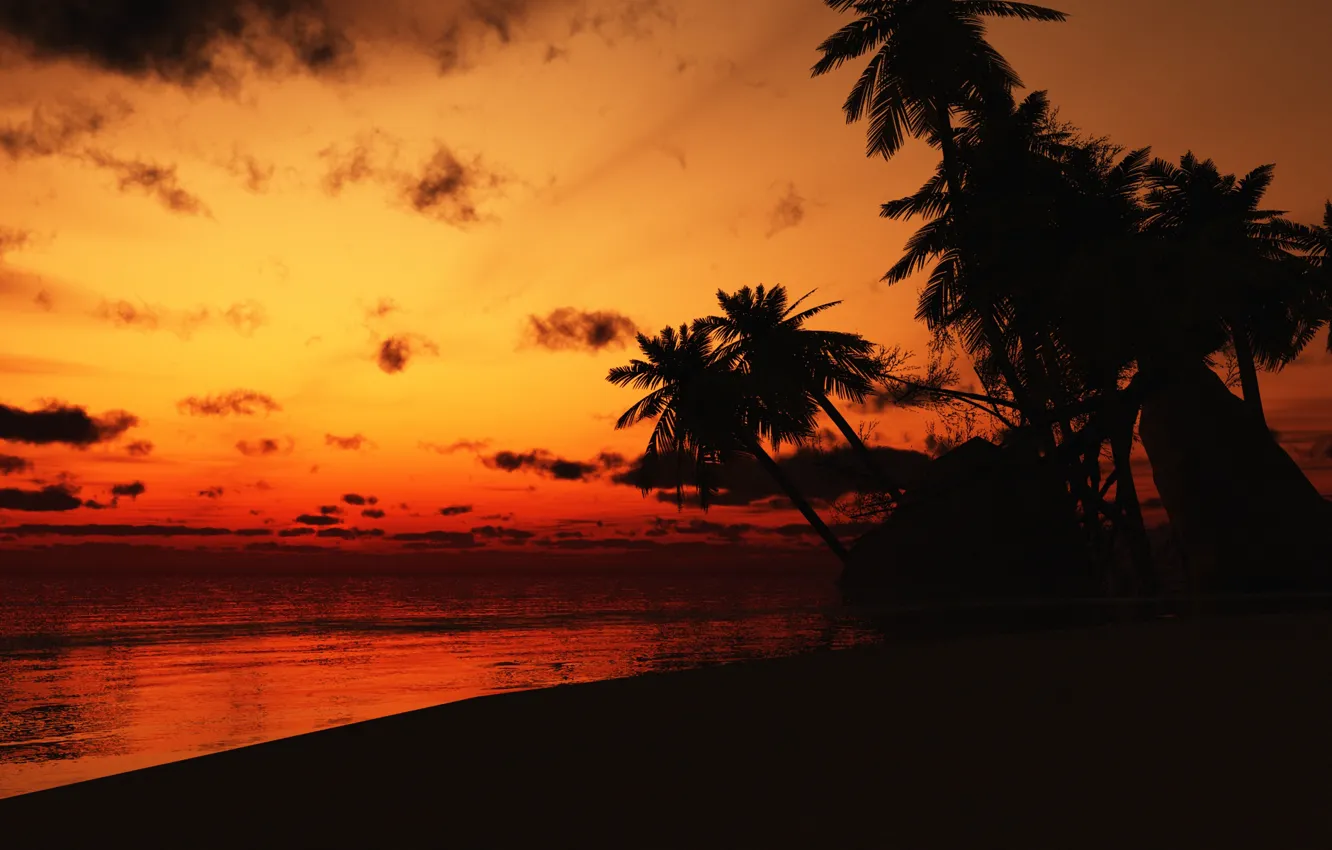 Photo wallpaper sea, clouds, sunset, palm trees, shore, the evening, Costa Rica