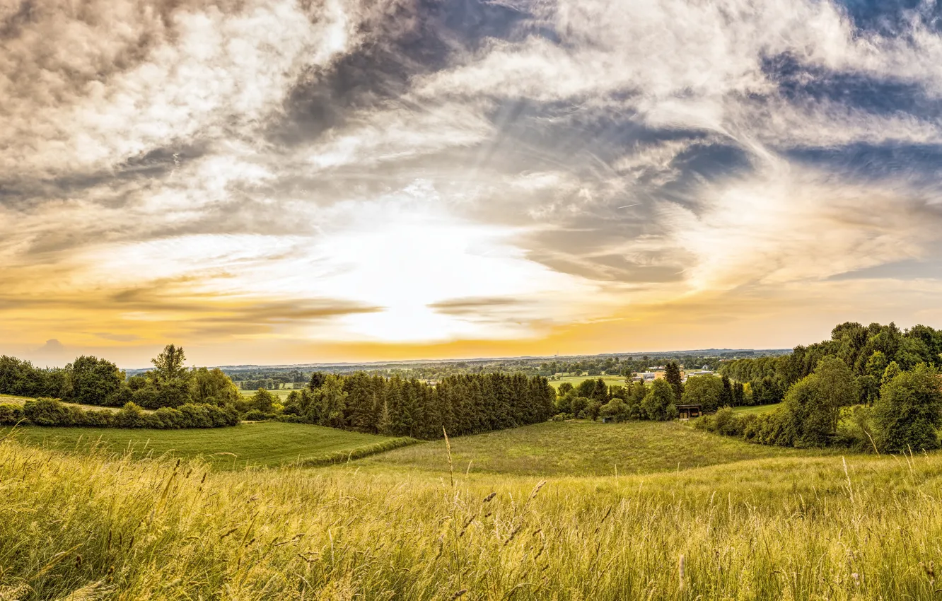 Photo wallpaper field, summer, the sky, grass, the sun, clouds, light, trees