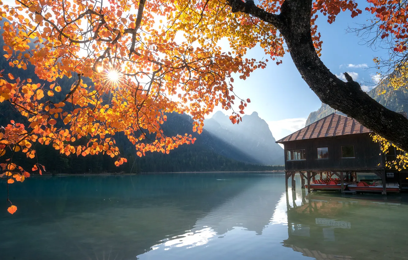 Photo wallpaper autumn, the sun, rays, landscape, mountains, branches, nature, lake
