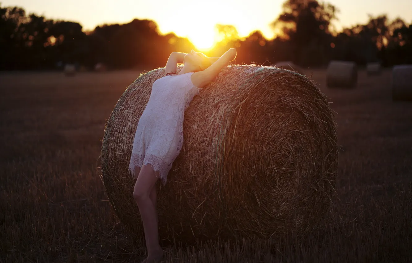 Photo wallpaper girl, light, sunset, mood, hay