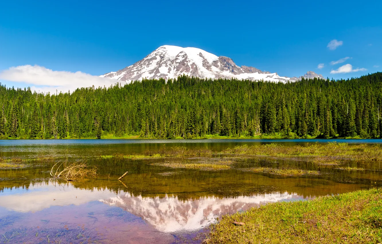 Photo wallpaper forest, trees, nature, lake, mountain, the volcano, USA, Washington