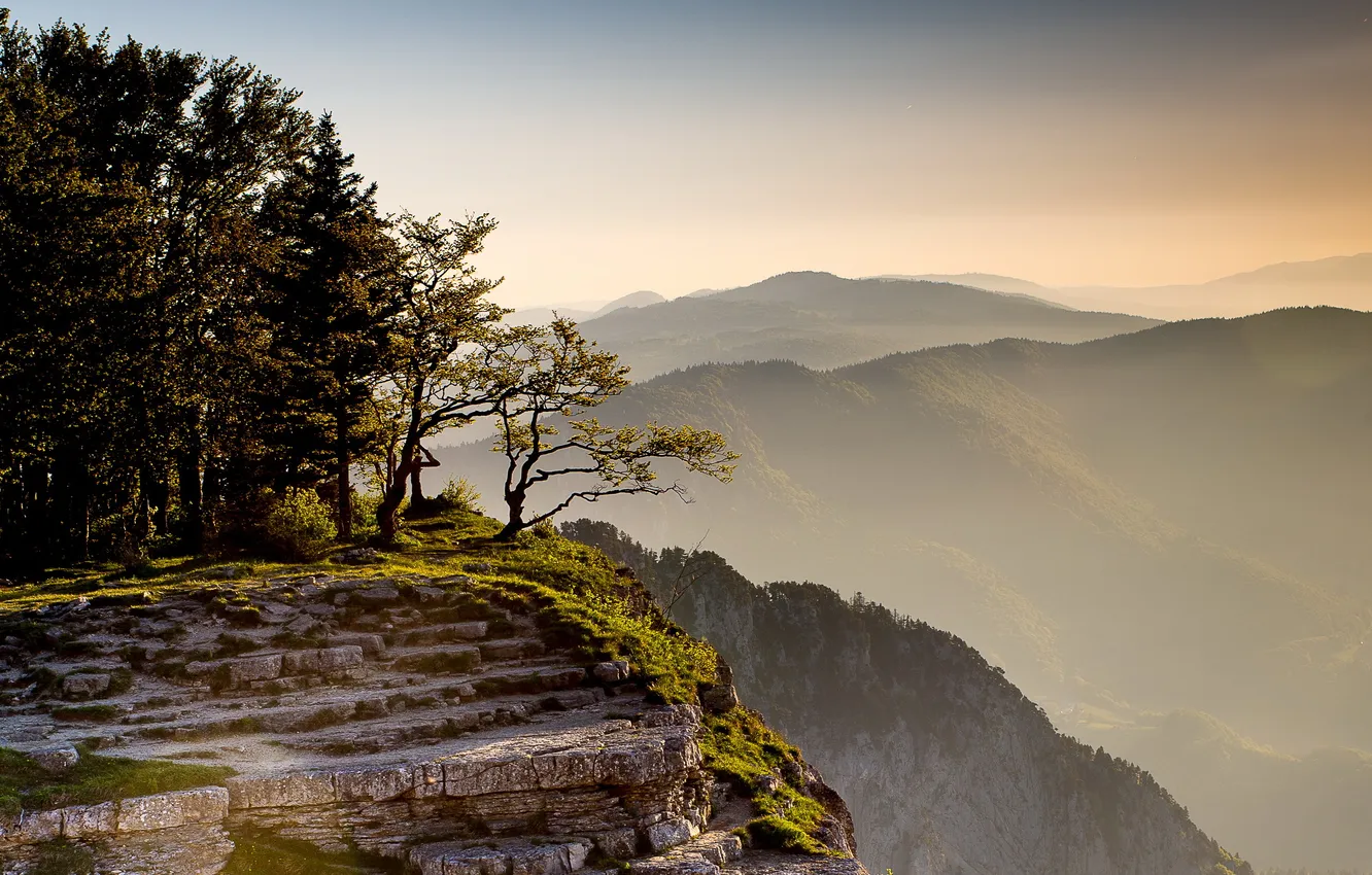 Photo wallpaper trees, landscape, mountains