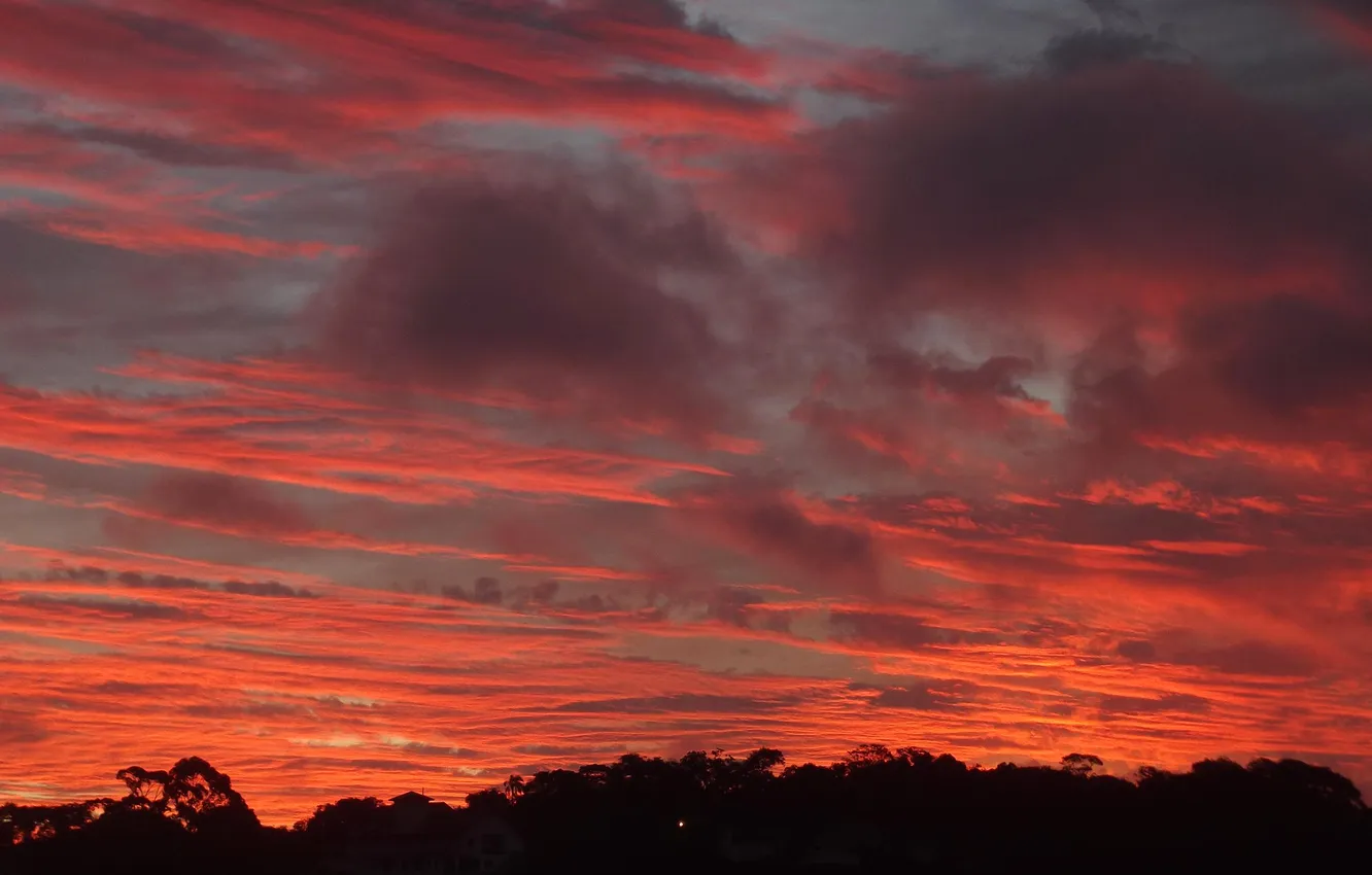 Photo wallpaper the sky, clouds, trees, sunset, glow