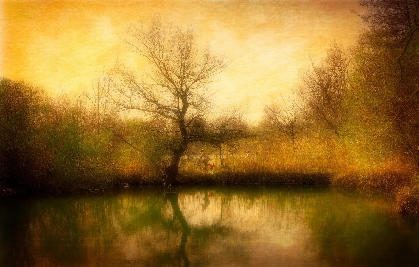 Photo wallpaper trees, bike, lake, style, background