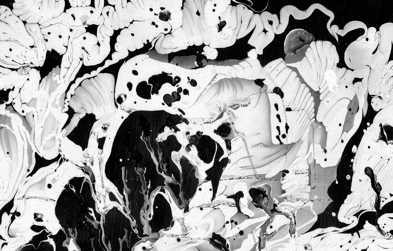 Photo wallpaper paint, picture, black and white, art, acrylic, acrylic paint