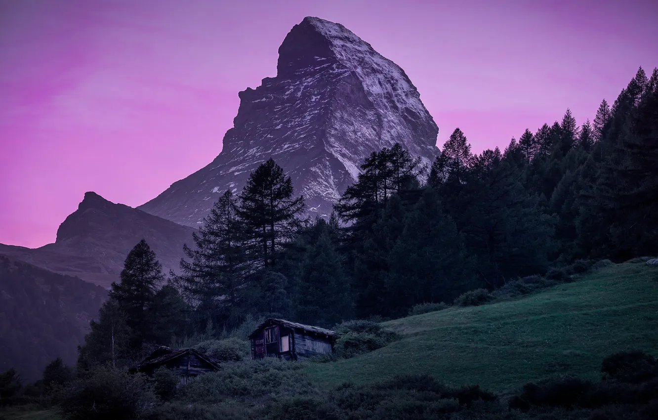 Photo wallpaper forest, summer, the sky, trees, mountains, nature, green, rocks