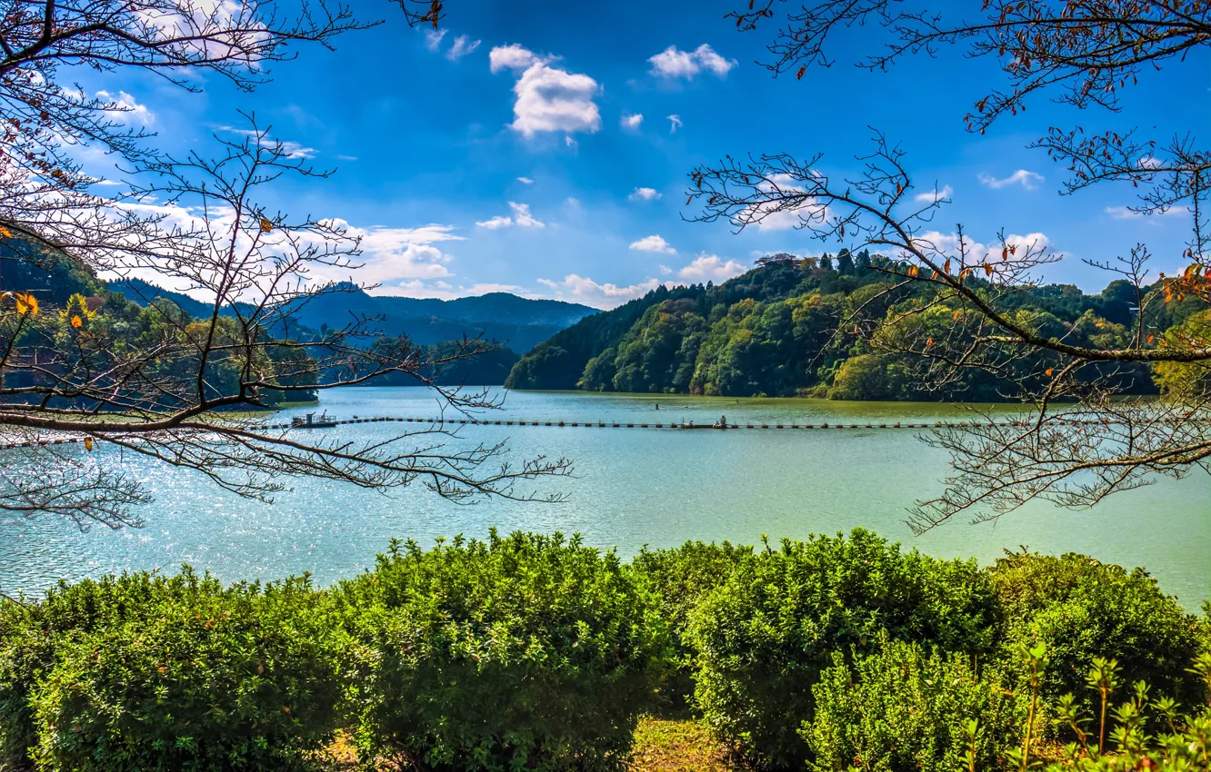 Photo wallpaper greens, autumn, forest, the sky, the sun, clouds, trees, mountains