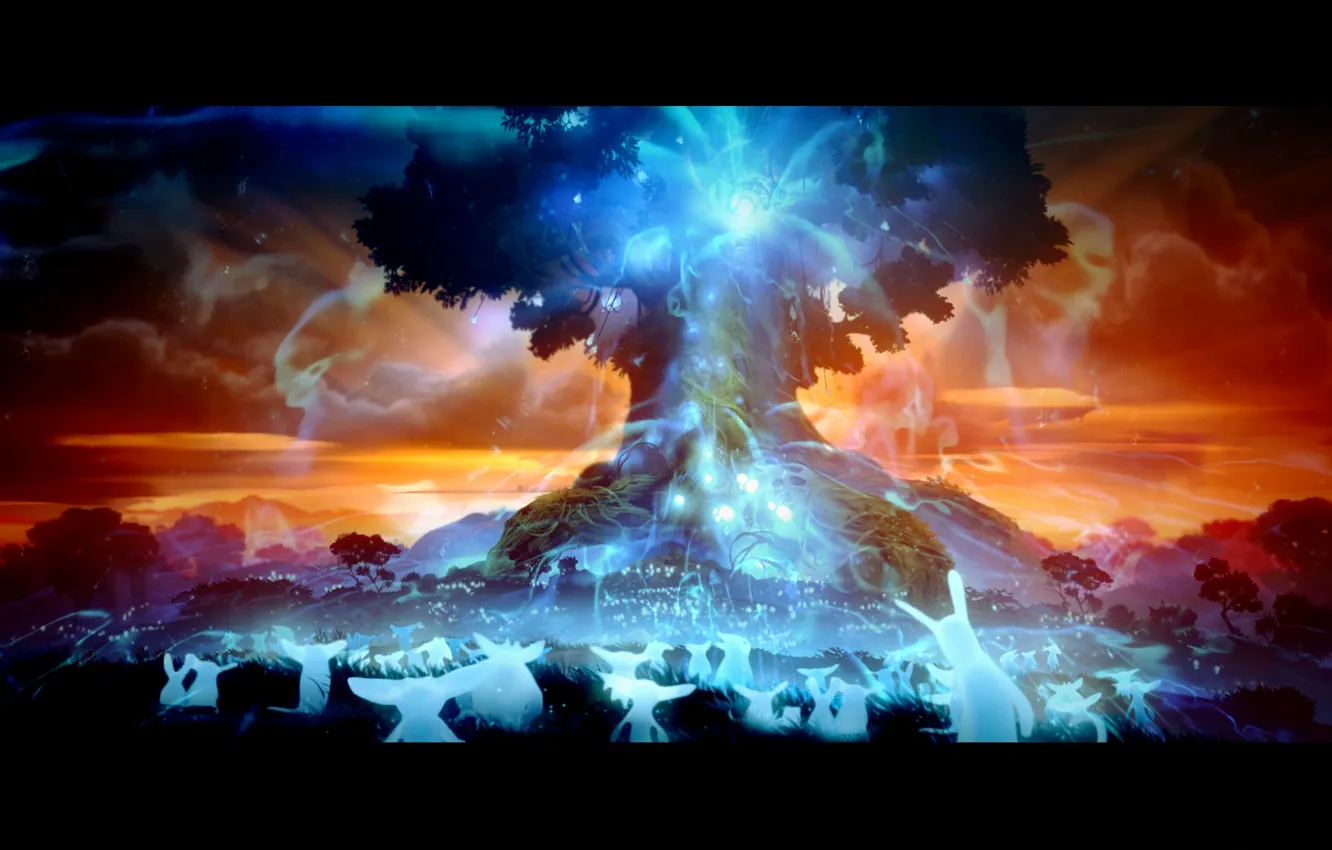 Photo wallpaper forest, and, The, Ori, Blind