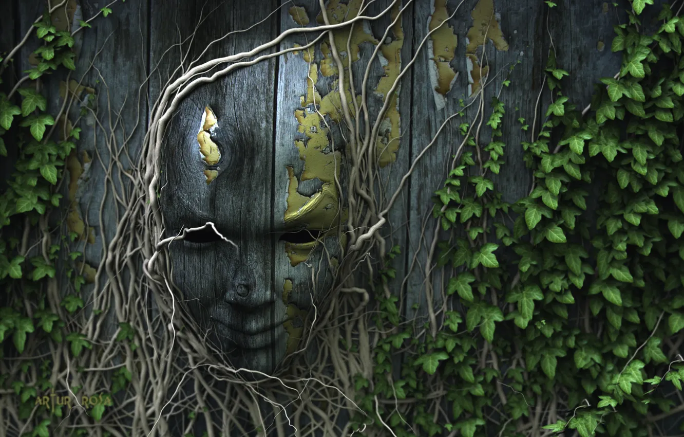 Photo wallpaper nature, face, roots, the fence, ivy