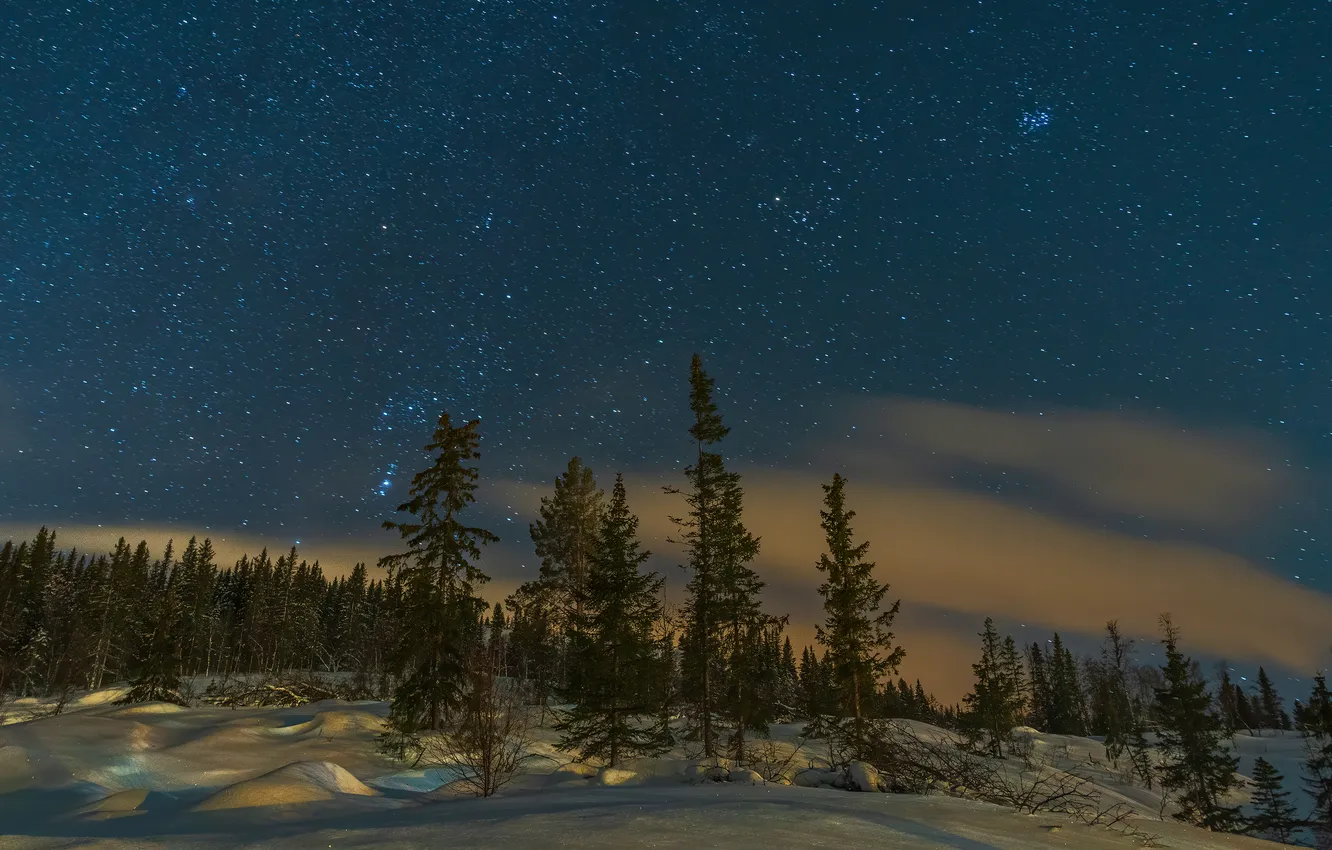 Photo wallpaper winter, forest, the sky, stars, clouds, snow, night, ate