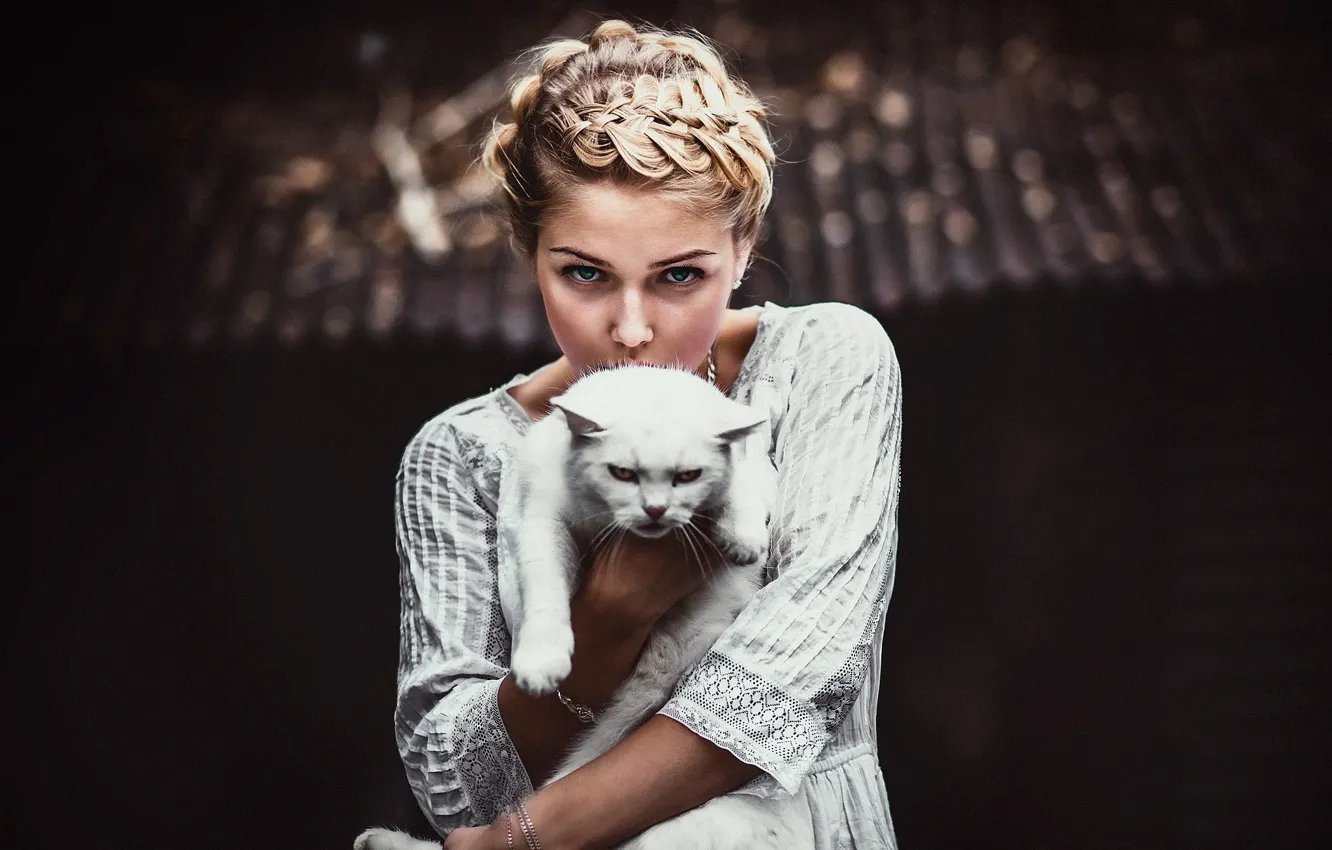 Photo wallpaper cat, look, girl, Anton Nozdrevatyh