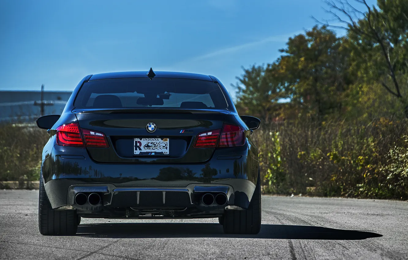 Photo wallpaper the sky, trees, black, bmw, black, back, f10, tinted