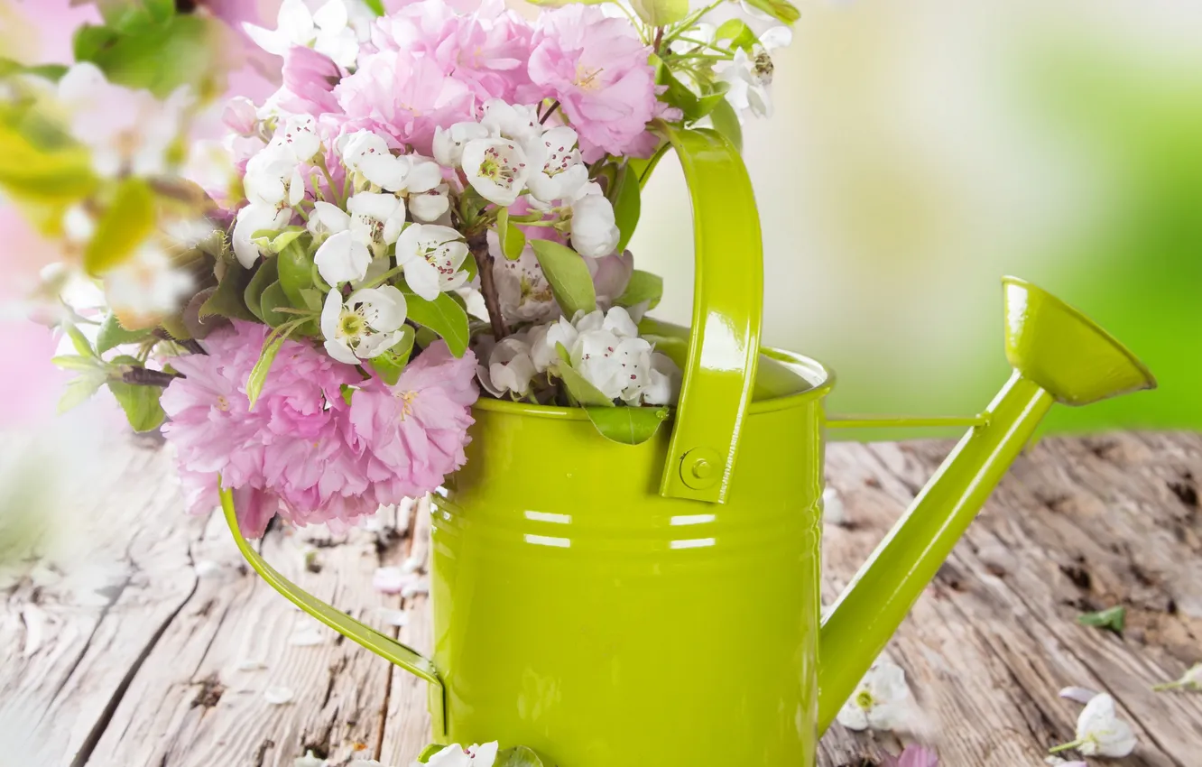 Photo wallpaper cherry, spring, Sakura, lake, Apple, flowering