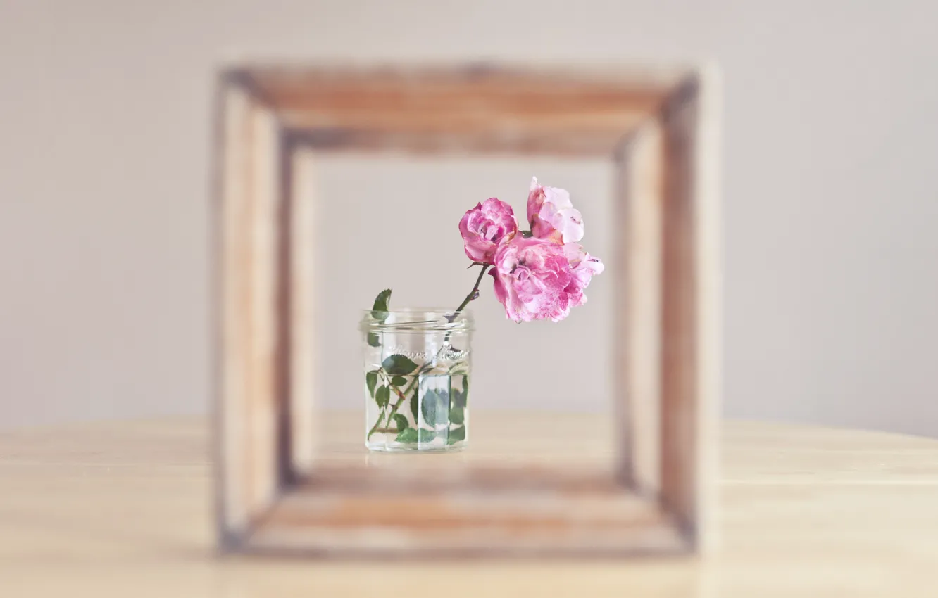 Photo wallpaper flowers, background, frame