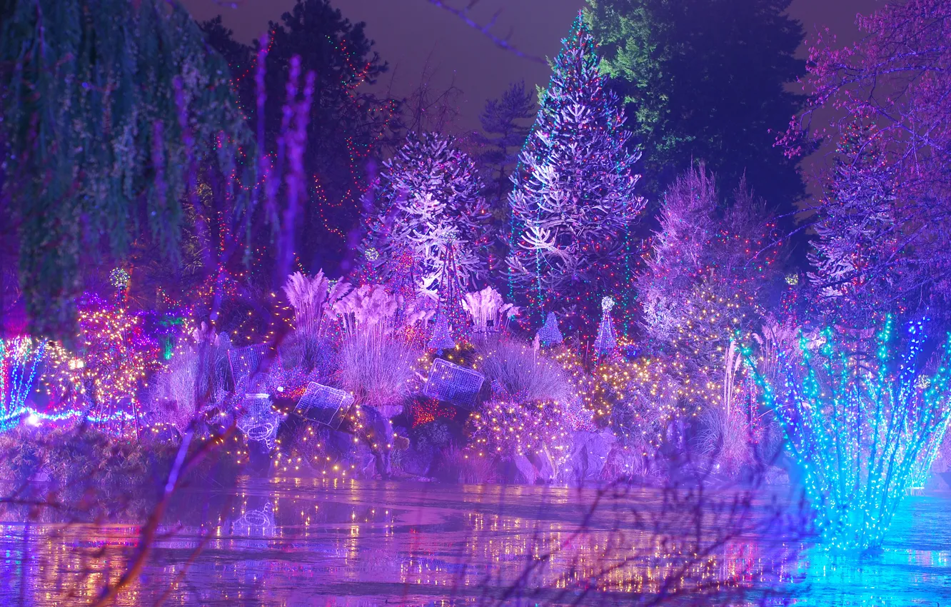 Photo wallpaper landscape, Park, new year, garland