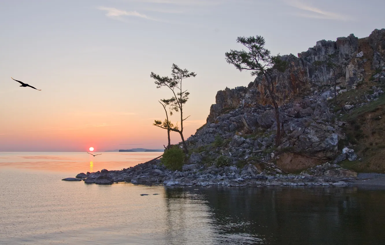 Photo wallpaper rocks, dawn, shore, morning, pine