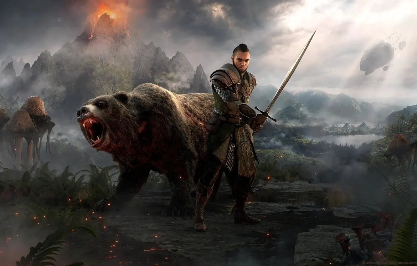 Photo wallpaper sword, bear, warrior, MAG, Morrowind, The Elder Scrolls Online, tes online, Warden