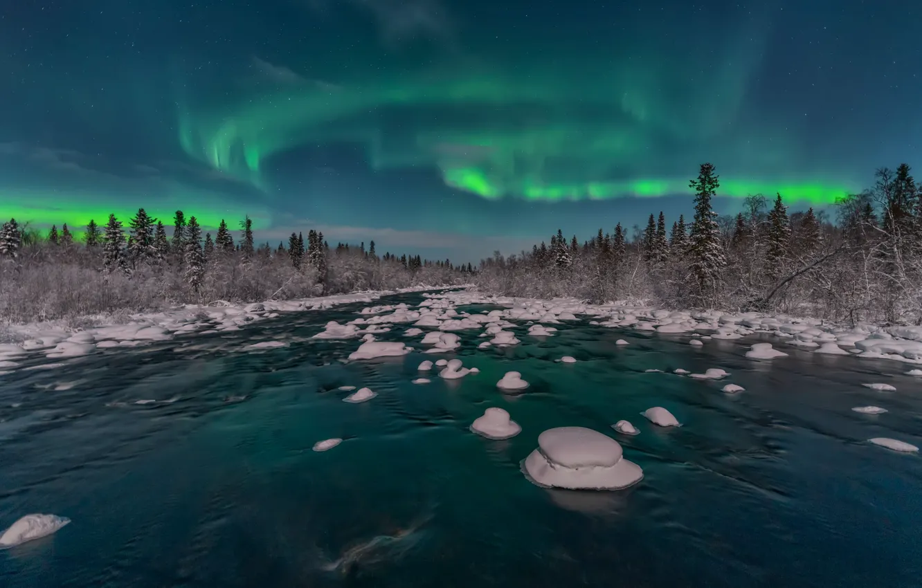 Photo wallpaper winter, forest, snow, landscape, night, nature, river, shore