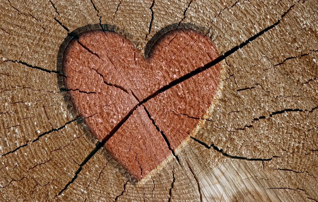 Photo wallpaper cracked, tree, heart