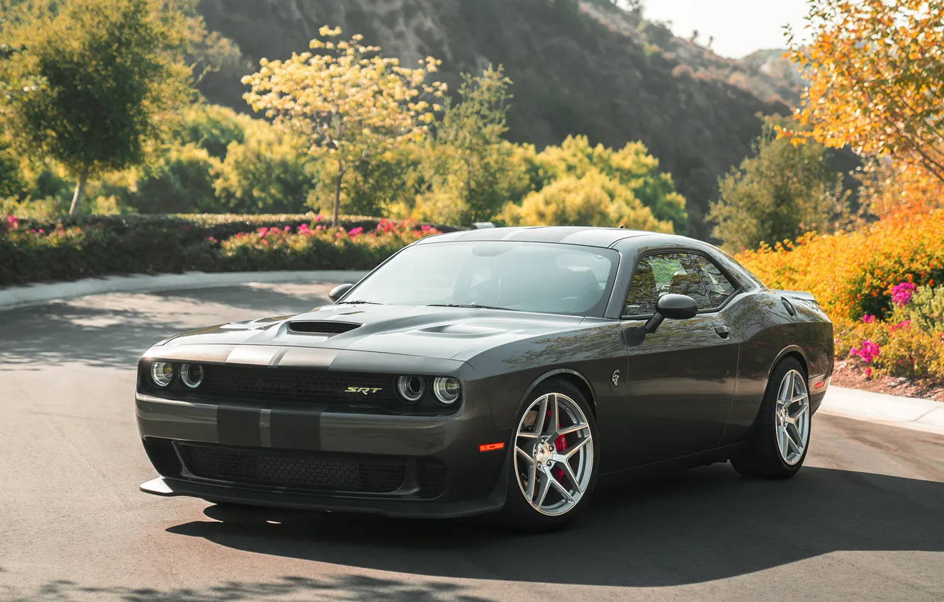 Photo wallpaper Dodge, Challenger, Hellcat, Silver, Machined