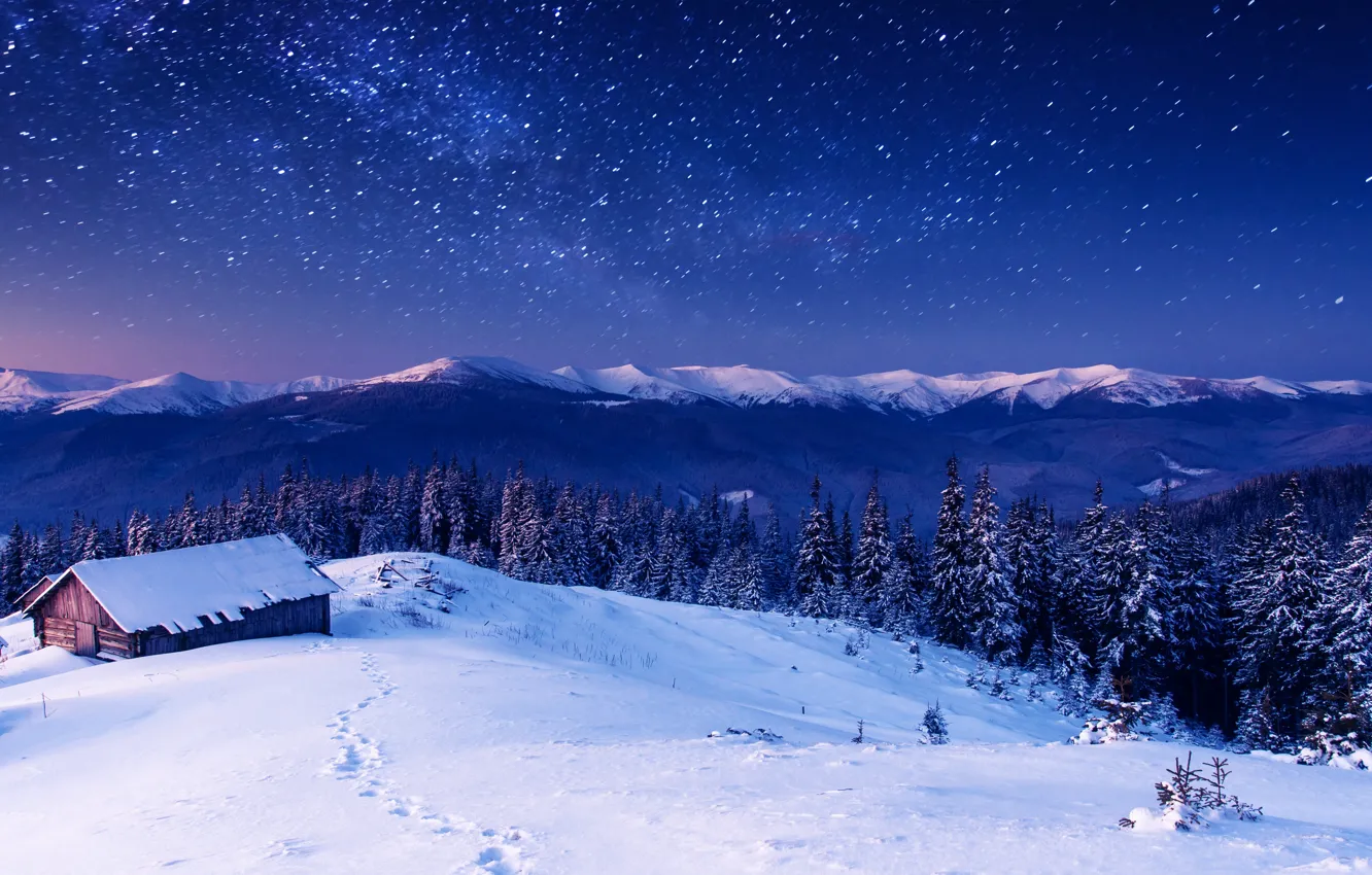 Photo wallpaper forest, trees, mountains, night, house, stars