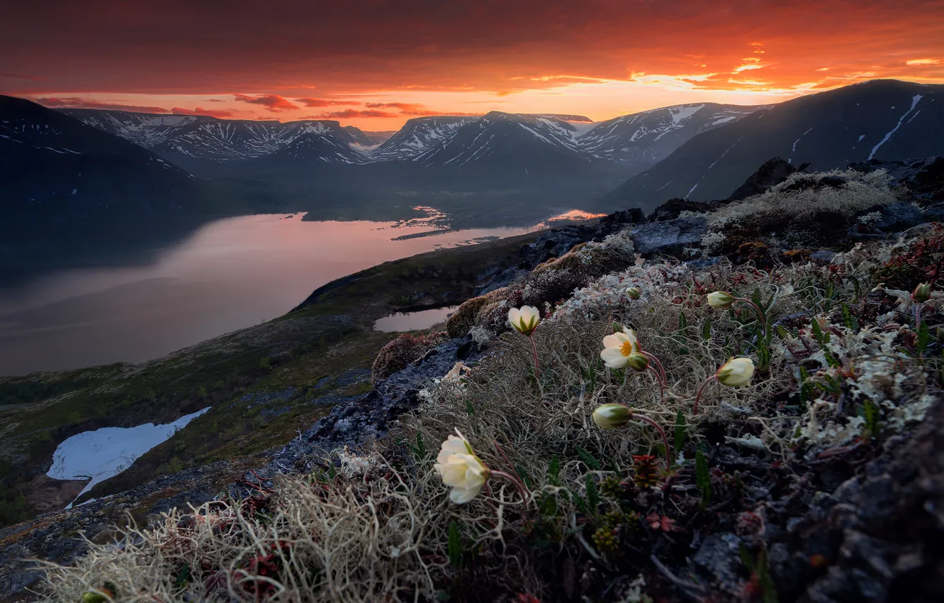 Photo wallpaper mountains, lake, beauty, horizon, space, primrose, Istomin Vitaly