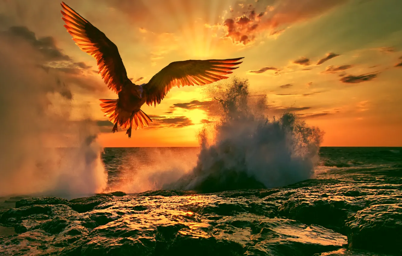 Photo wallpaper sea, seagulls, the evening, surf
