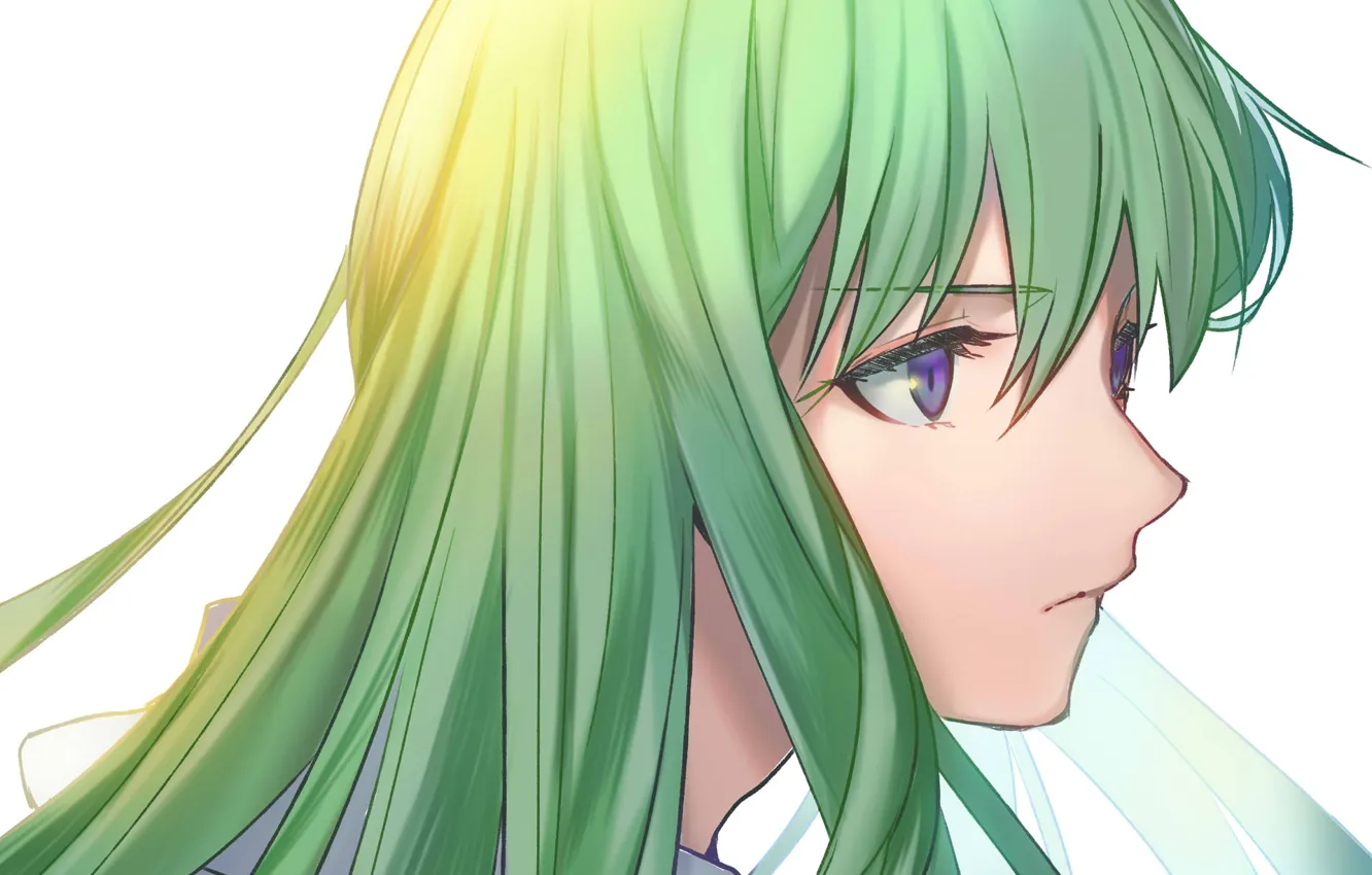 Photo wallpaper green hair, fanart, Fate/Grand Order, Pixiv, Fanart From Pixiv, Kingu, Pixiv Id 2252322