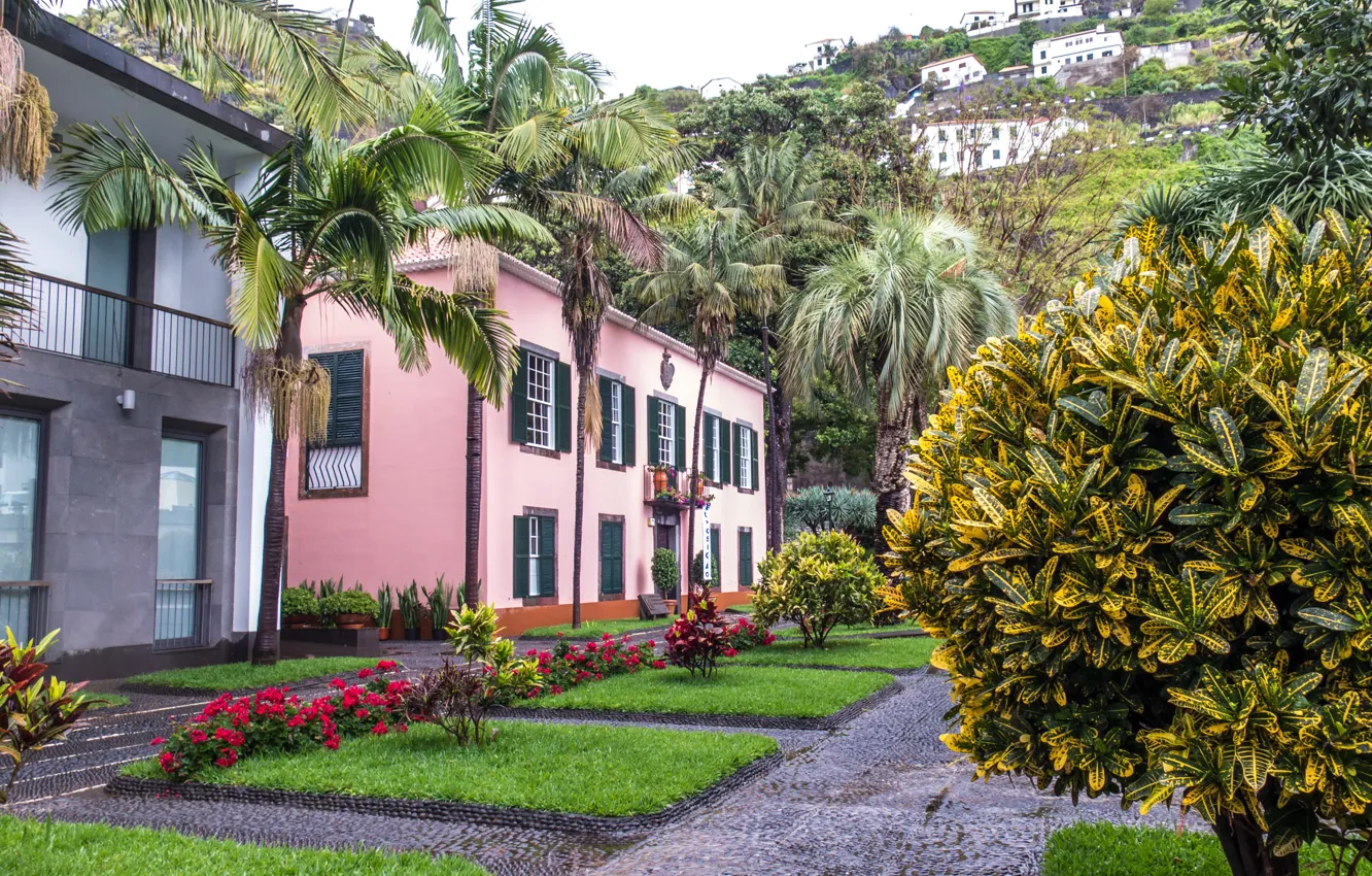 Photo wallpaper mountains, palm trees, lawn, Portugal, mansion, street, houses, Portugal