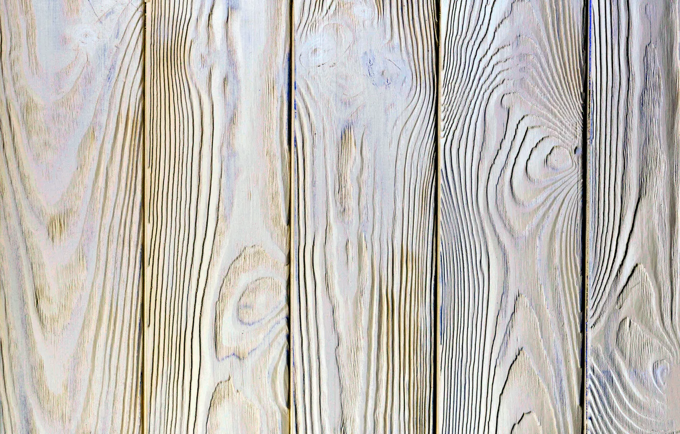 Photo wallpaper wood, texture, color