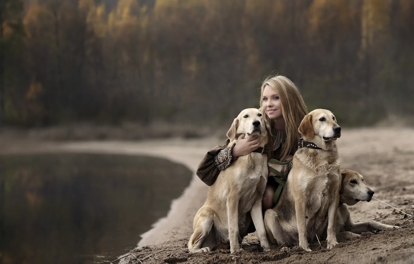 Photo wallpaper dogs, girl, mood