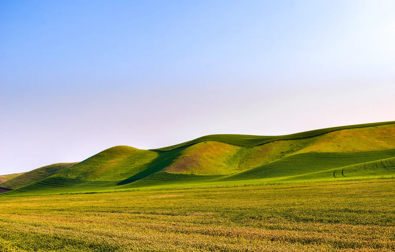 Photo wallpaper field, the sky, grass, nature, hills