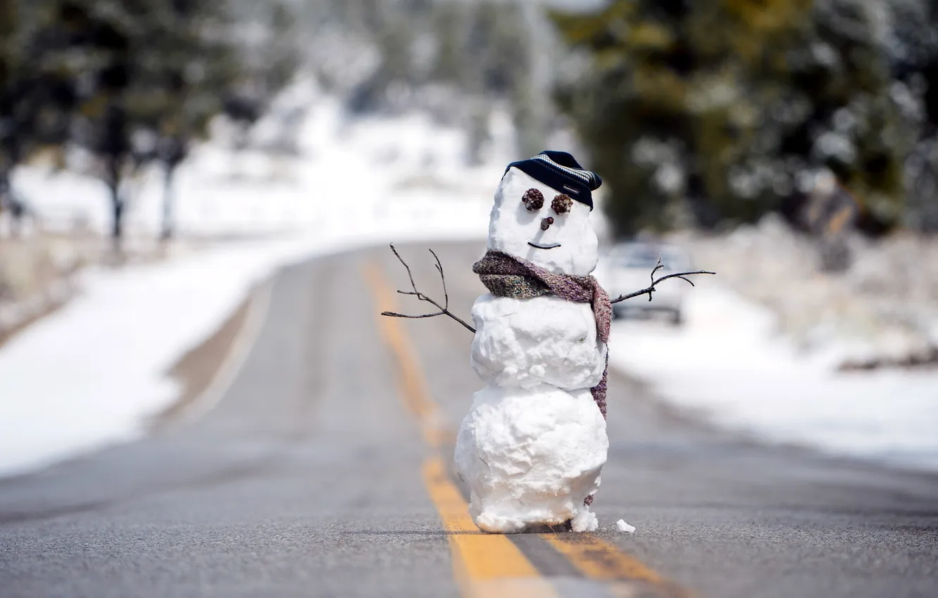 Photo wallpaper winter, road, snowman