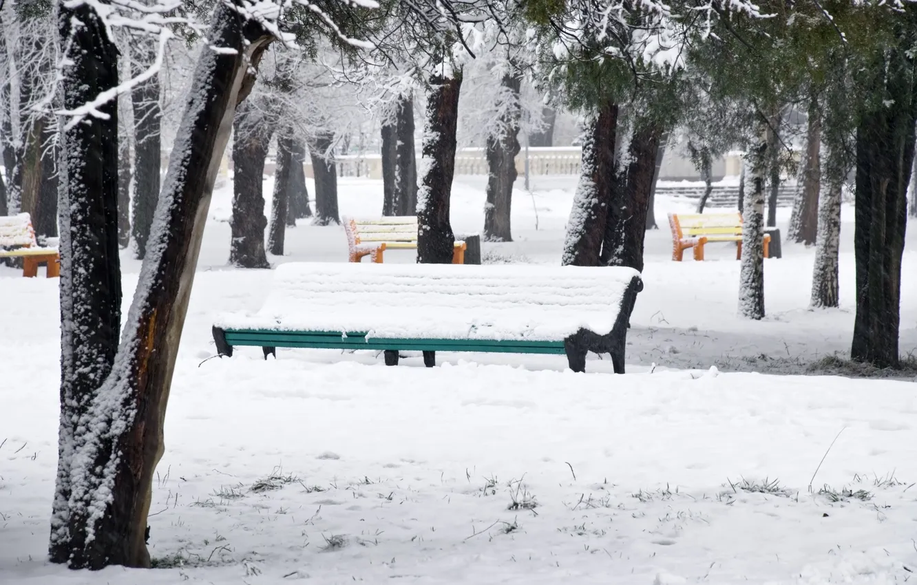 Photo wallpaper winter, snow, trees, Park, colorful, benches, Snow park