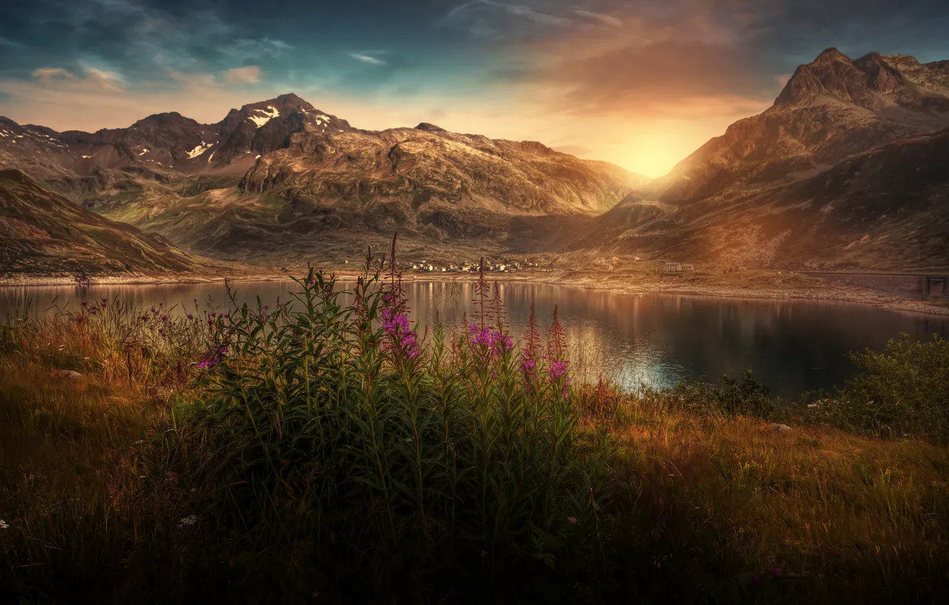Photo wallpaper the sun, light, flowers, mountains, lake, pond, Ivan-tea, fireweed