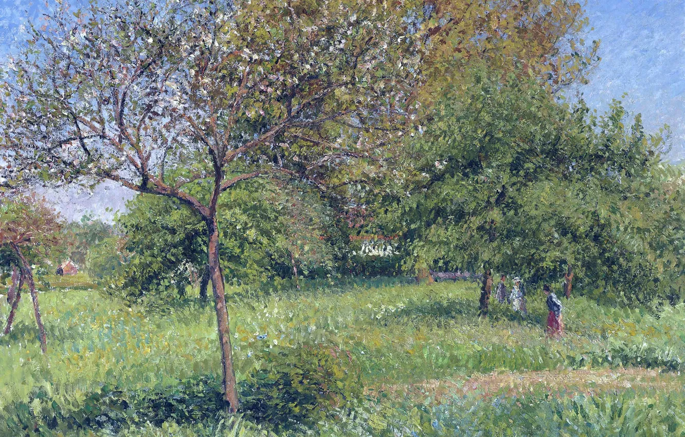 Photo wallpaper trees, landscape, nature, picture, garden, Camille Pissarro, Walnut Morning in Eragny