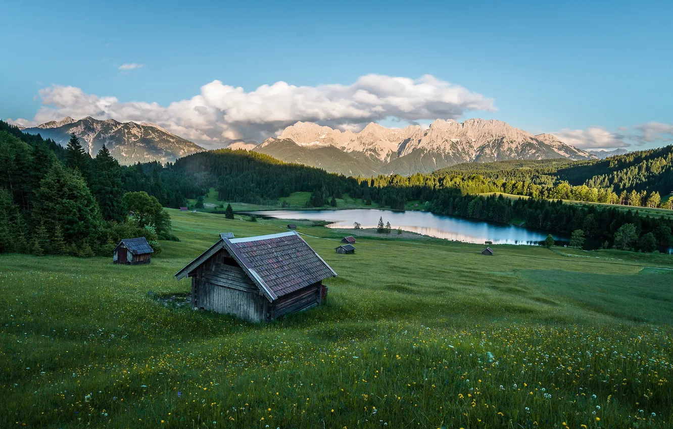 Photo wallpaper field, forest, summer, the sky, grass, clouds, flowers, mountains