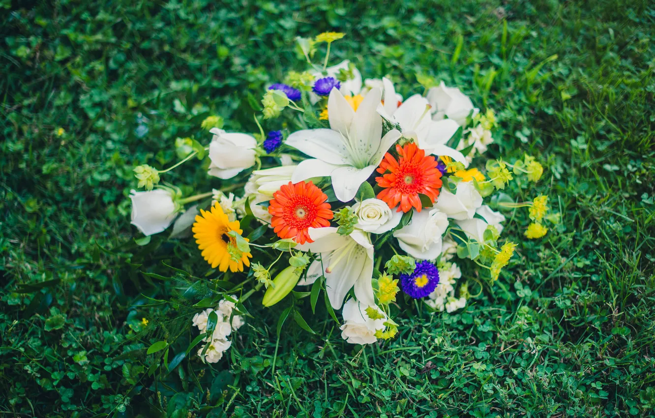 Photo wallpaper grass, flowers, Lily, bouquet, gerbera