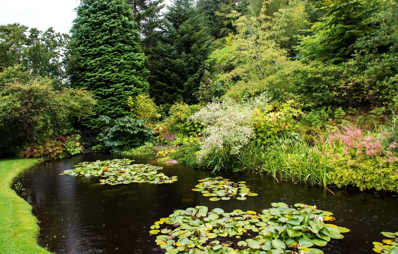 Photo wallpaper trees, pond, Park, Scotland, the bushes, Attadale Gardens, Strathcarron