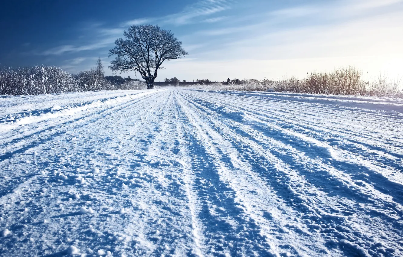 Photo wallpaper winter, road, grass, snow, trees, Sunny
