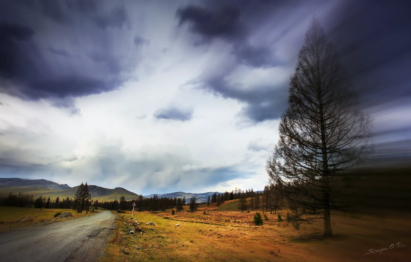 Photo wallpaper road, clouds, trees, rain, the wind, sign, roadside, clearance