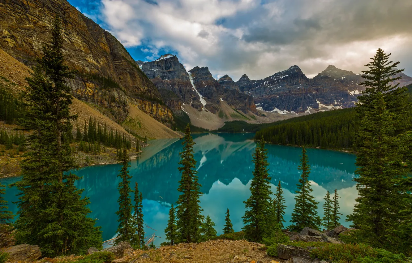 Photo wallpaper forest, mountains, lake