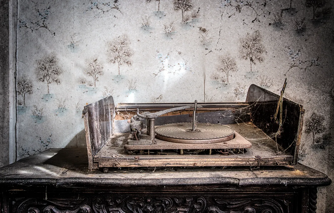 Photo wallpaper web, dust, record player