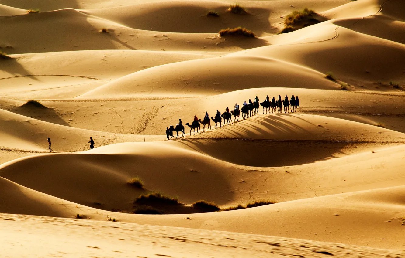 Photo wallpaper the dunes, desert, caravan