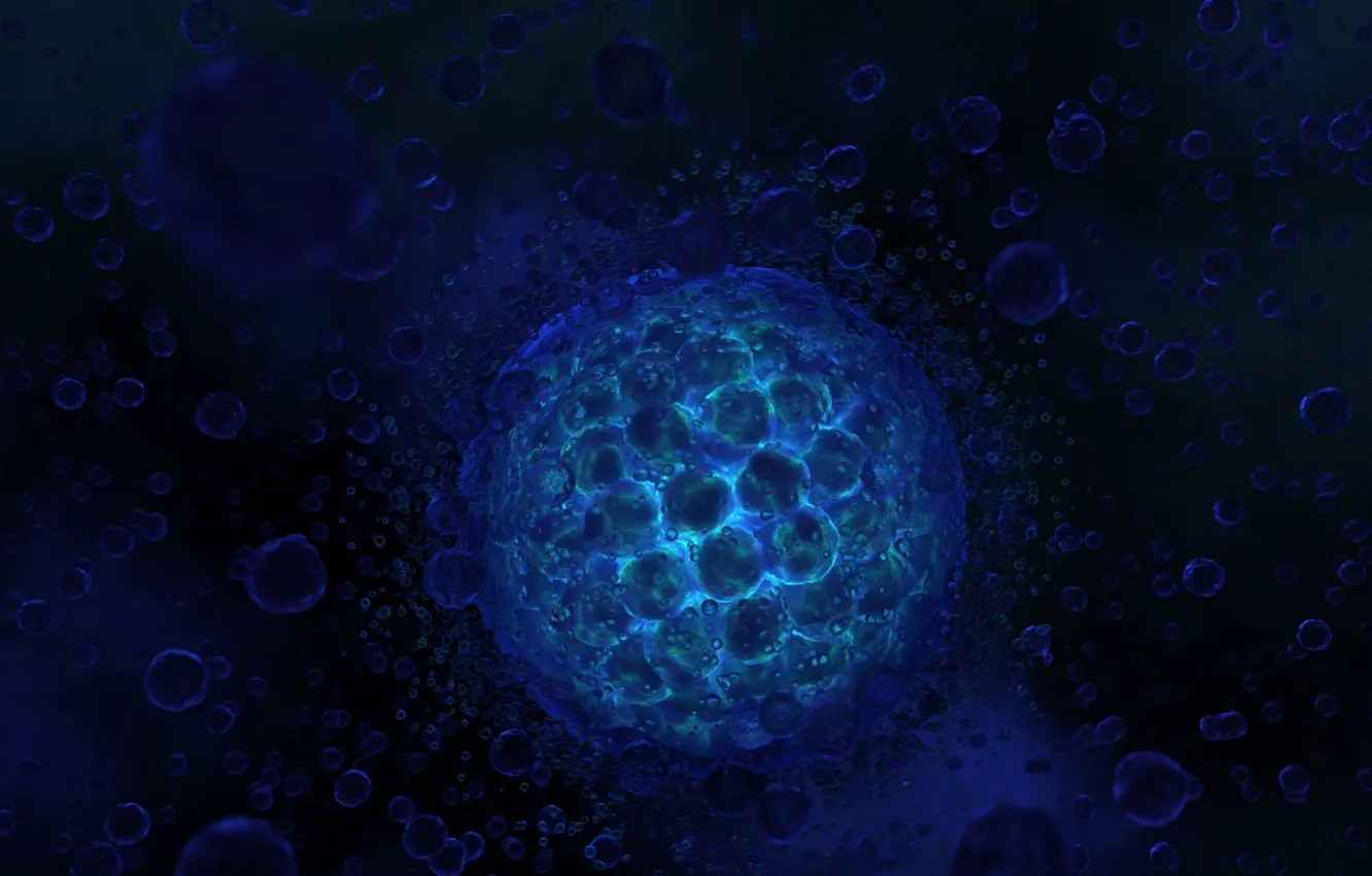 Photo wallpaper balls, bubbles, different