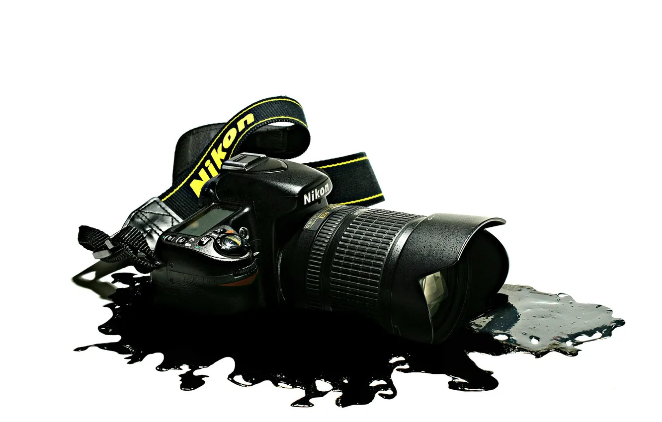 Photo wallpaper macro, background, camera