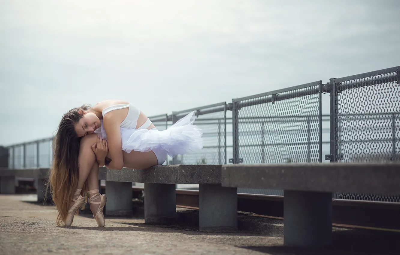 Photo wallpaper girl, pose, mood, ballerina, long hair