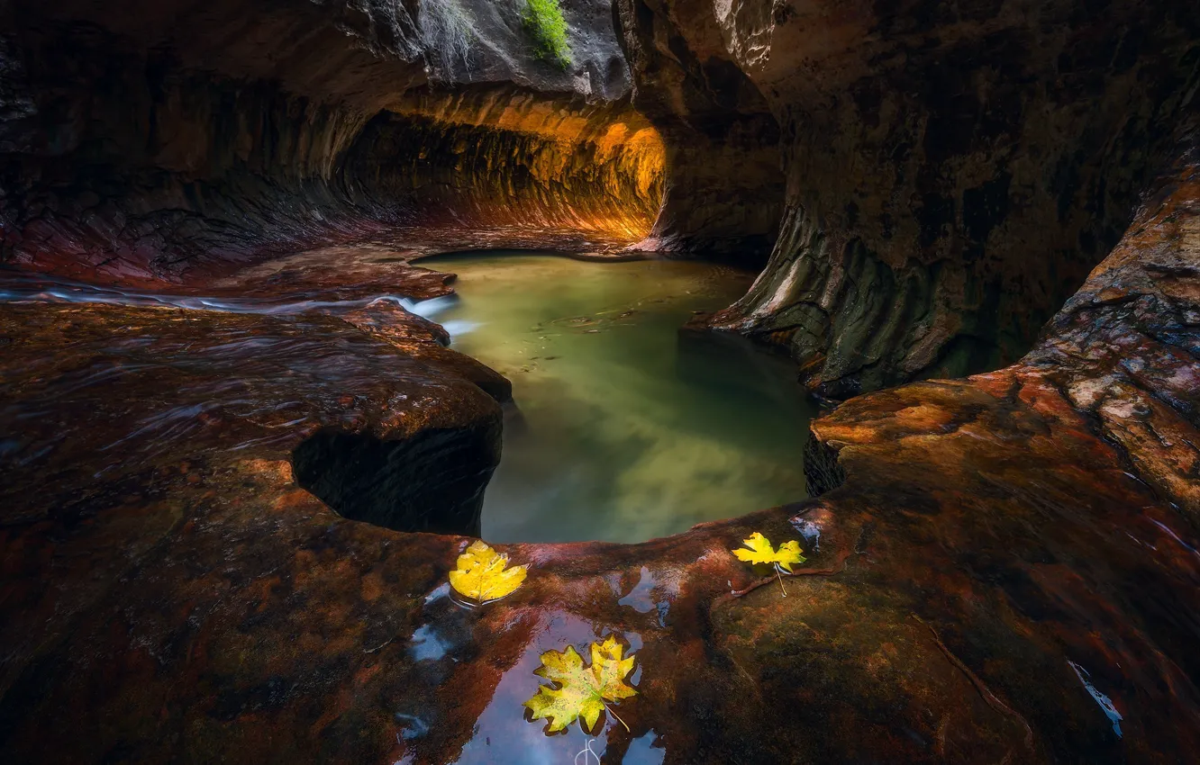 Photo wallpaper autumn, river, stones, rocks, foliage, stream, cave, the grotto