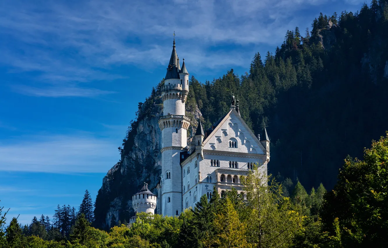 Photo wallpaper forest, rock, castle, Germany, Bayern, Germany, Bavaria, Neuschwanstein Castle
